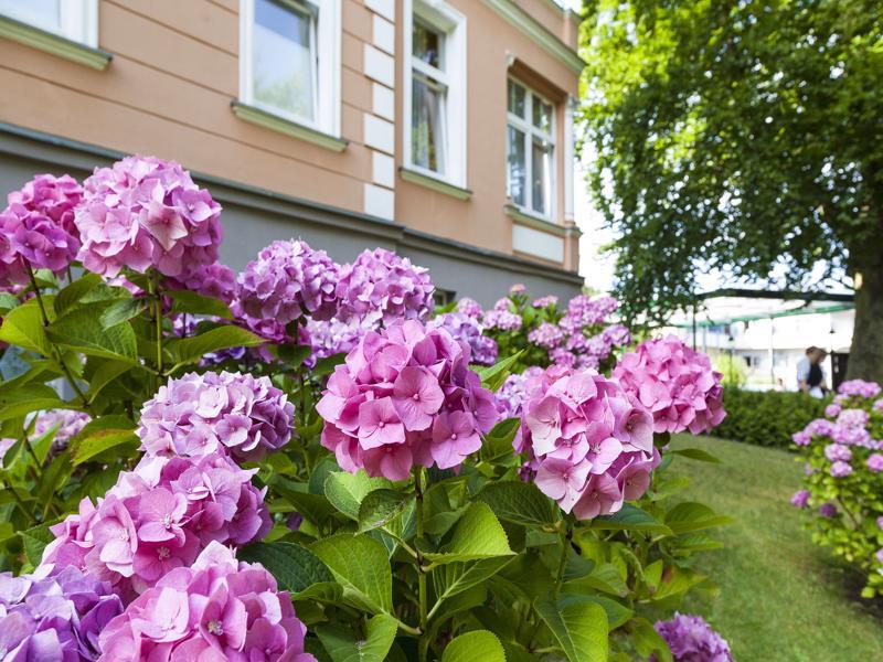 Ostseehotel Villen Im Park - Ein Rovell Hotel Heringsdorf  Exterior foto